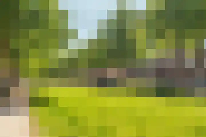 Minervalaan 76 1 Amsterdam thumbnail 37