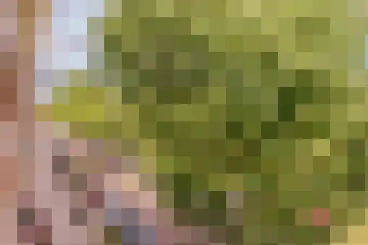 Minervalaan 76 1 Amsterdam thumbnail 39