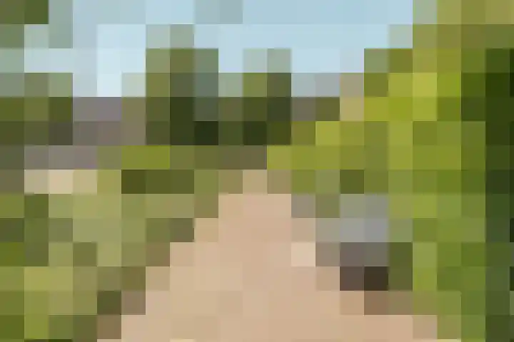 Minervalaan 76 1 Amsterdam thumbnail 40