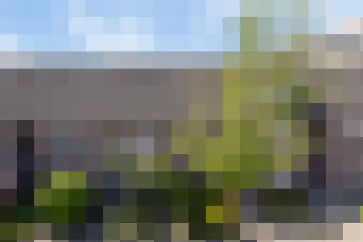 Minervalaan 76 1 Amsterdam thumbnail 5