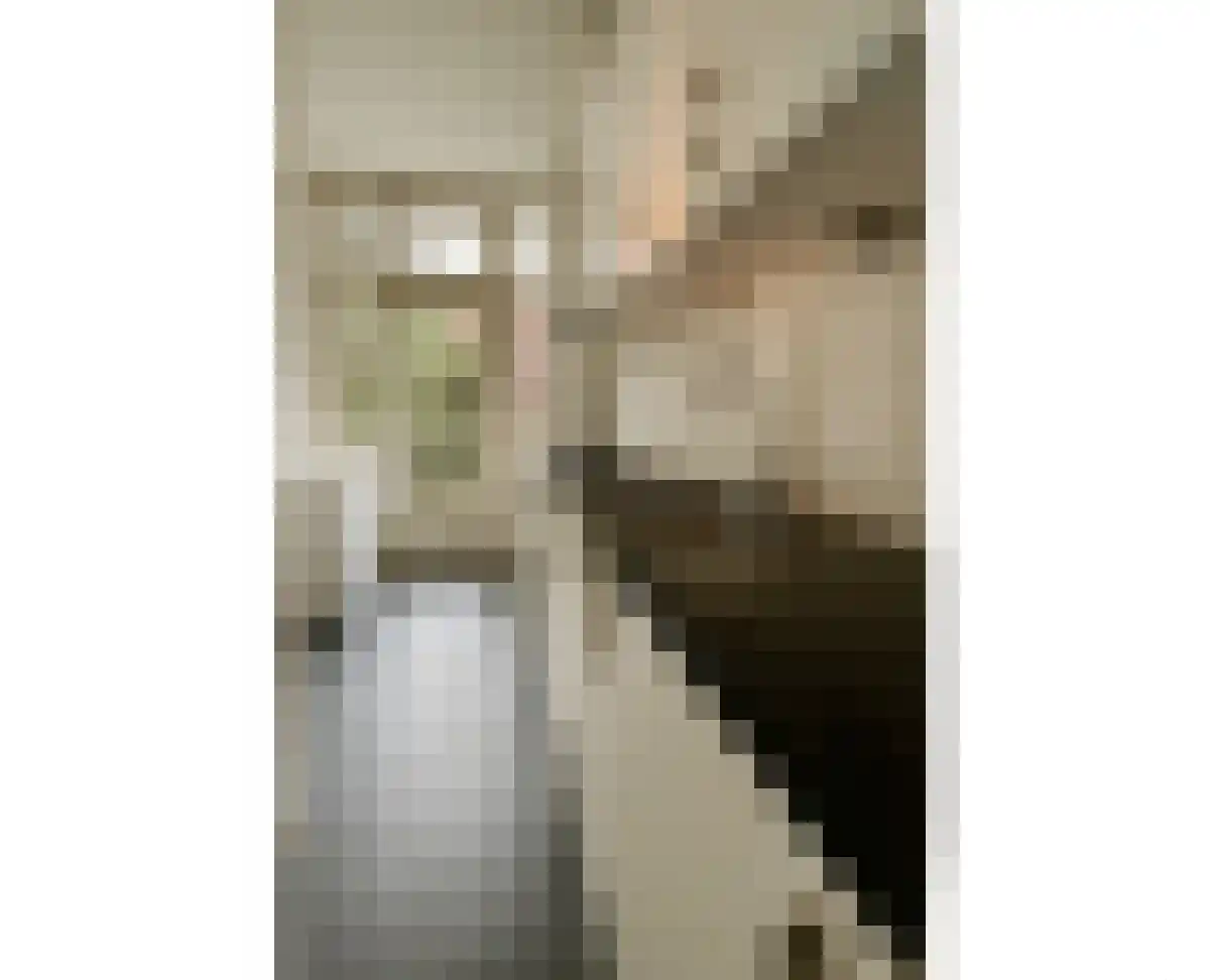 Minervalaan 83 Amsterdam thumbnail 6
