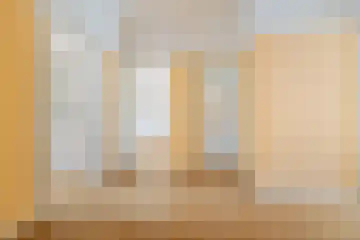 Minervalaan 87 2 Amsterdam thumbnail 10