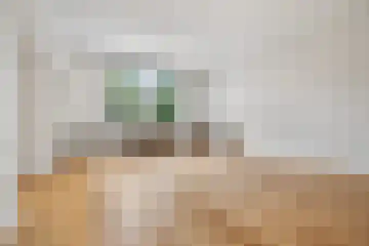 Minervalaan 87 2 Amsterdam thumbnail 16