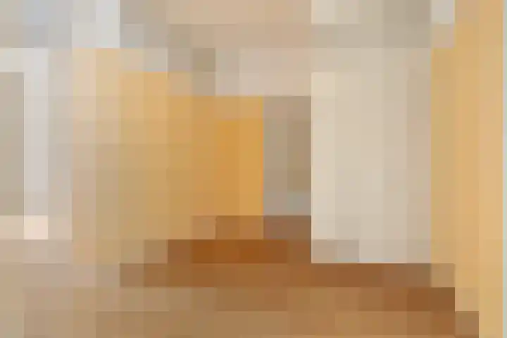 Minervalaan 87 2 Amsterdam thumbnail 18