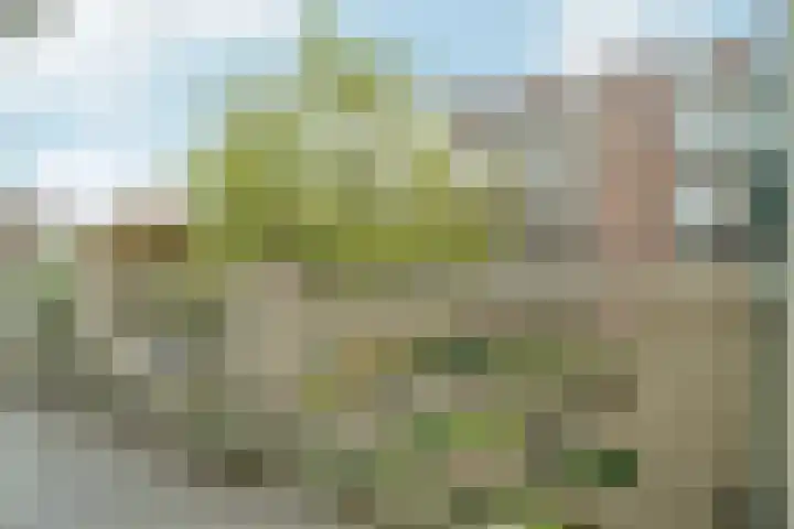 Minervalaan 87 2 Amsterdam thumbnail 43