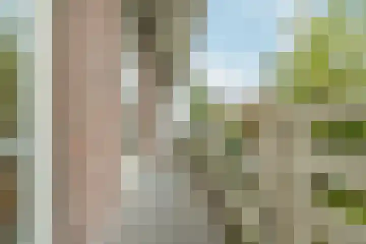 Minervalaan 87 2 Amsterdam thumbnail 44