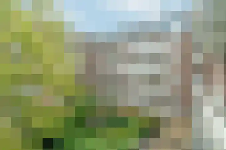 Minervalaan 87 2 Amsterdam thumbnail 46
