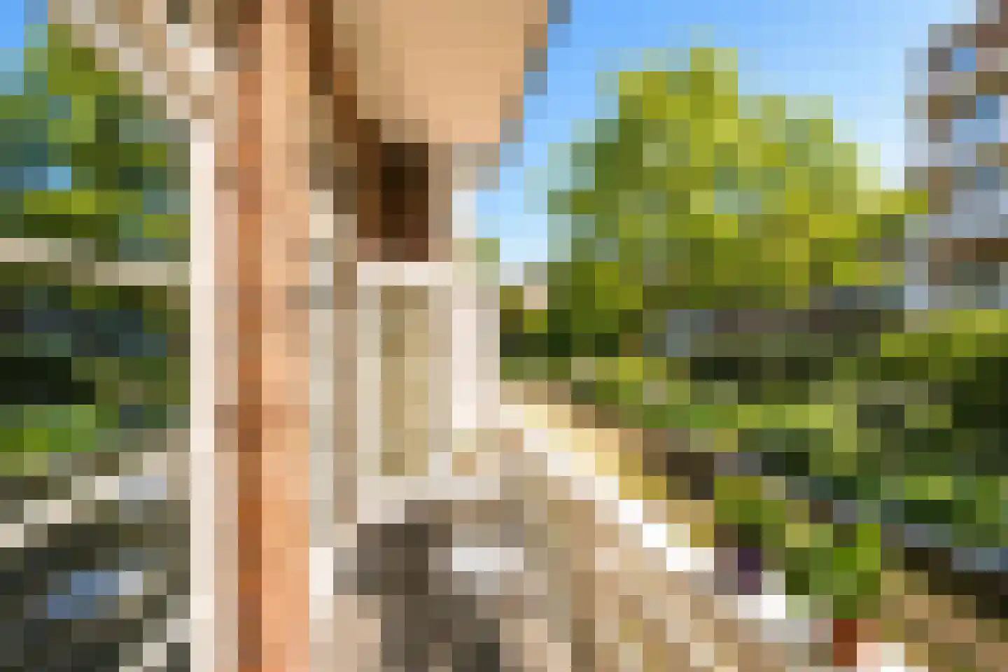 Minervalaan 89 3 Amsterdam thumbnail 11