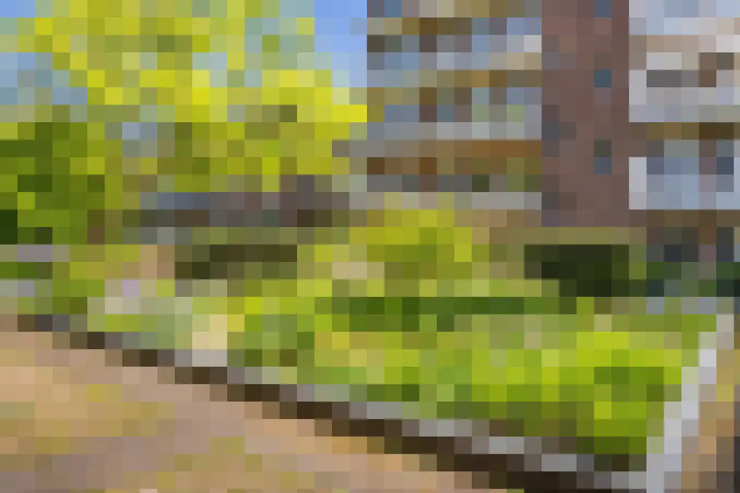 Minervalaan 89 3 Amsterdam thumbnail 12