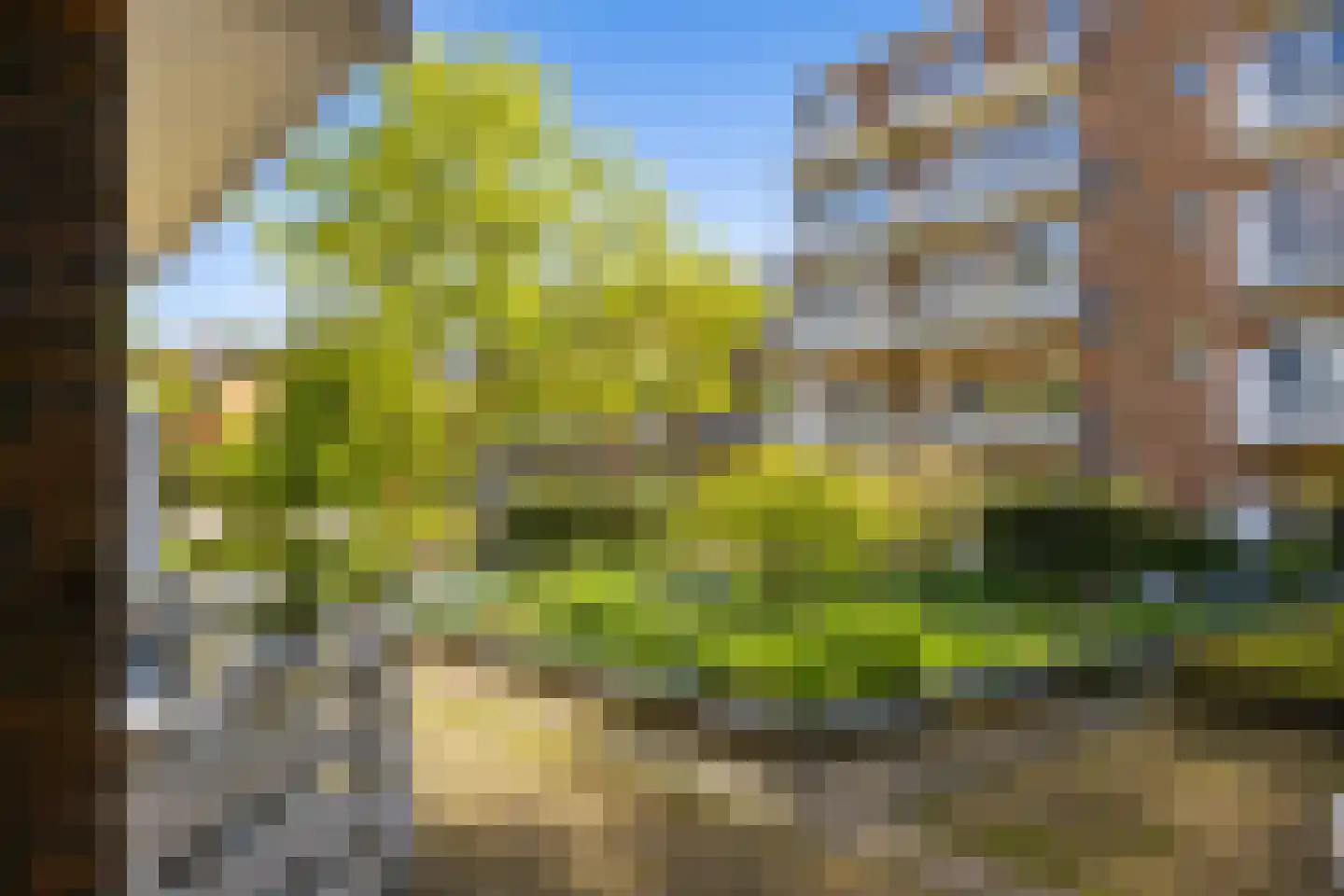 Minervalaan 89 3 Amsterdam thumbnail 13