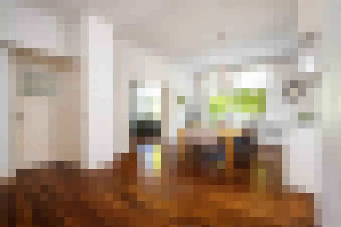 Minervalaan 89 3 Amsterdam thumbnail 19