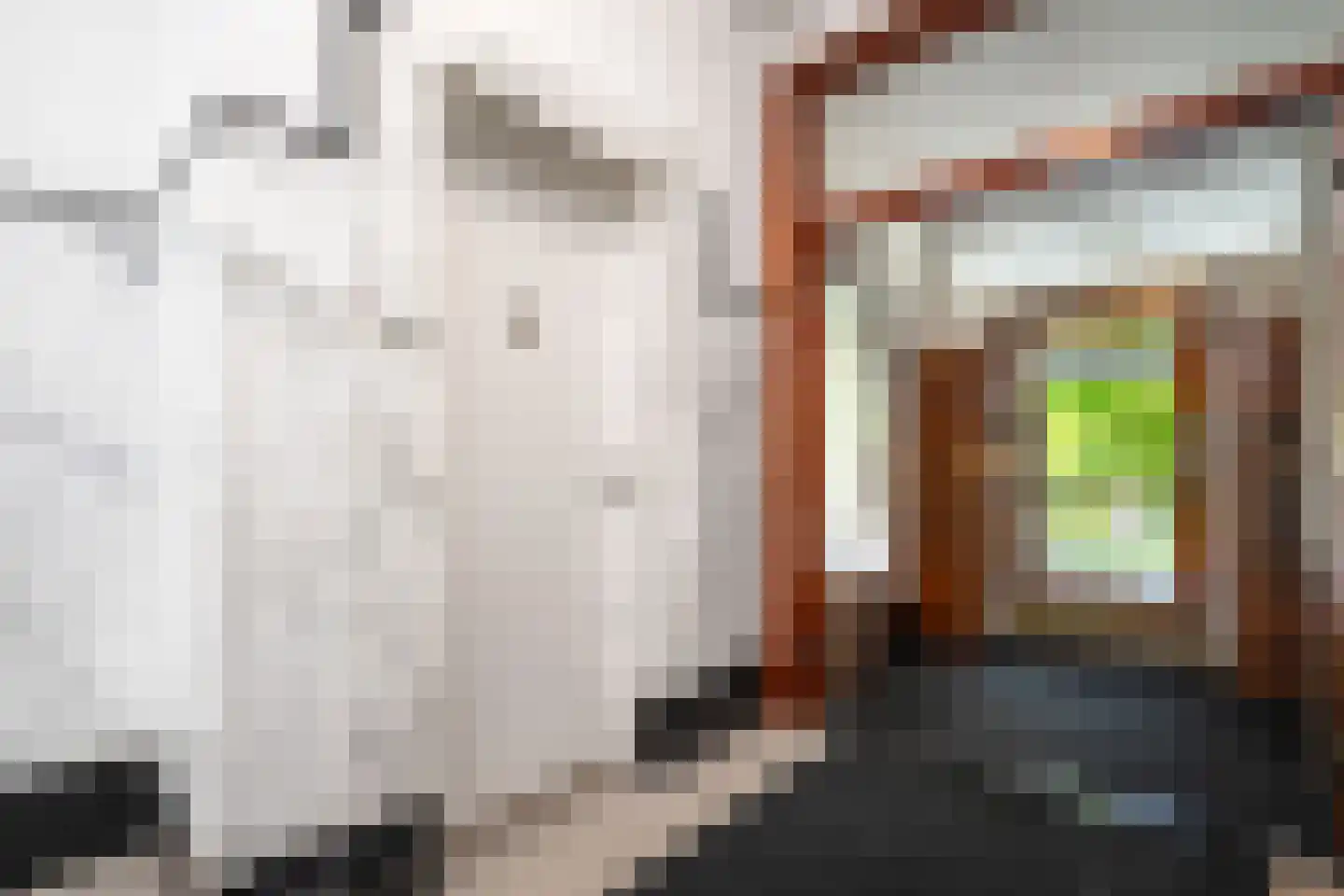 Minervalaan 89 3 Amsterdam thumbnail 31