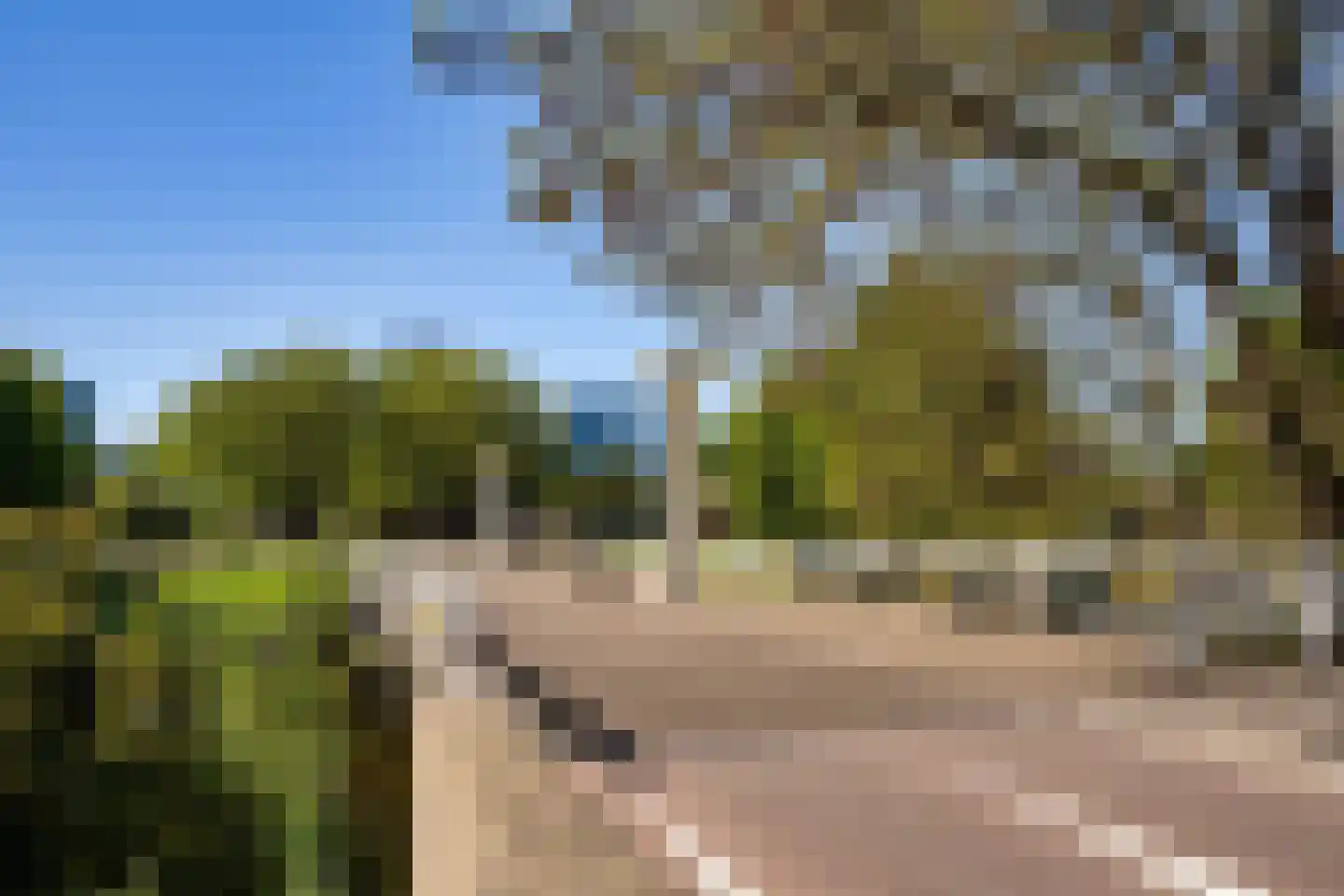 Minervalaan 89 3 Amsterdam thumbnail 45