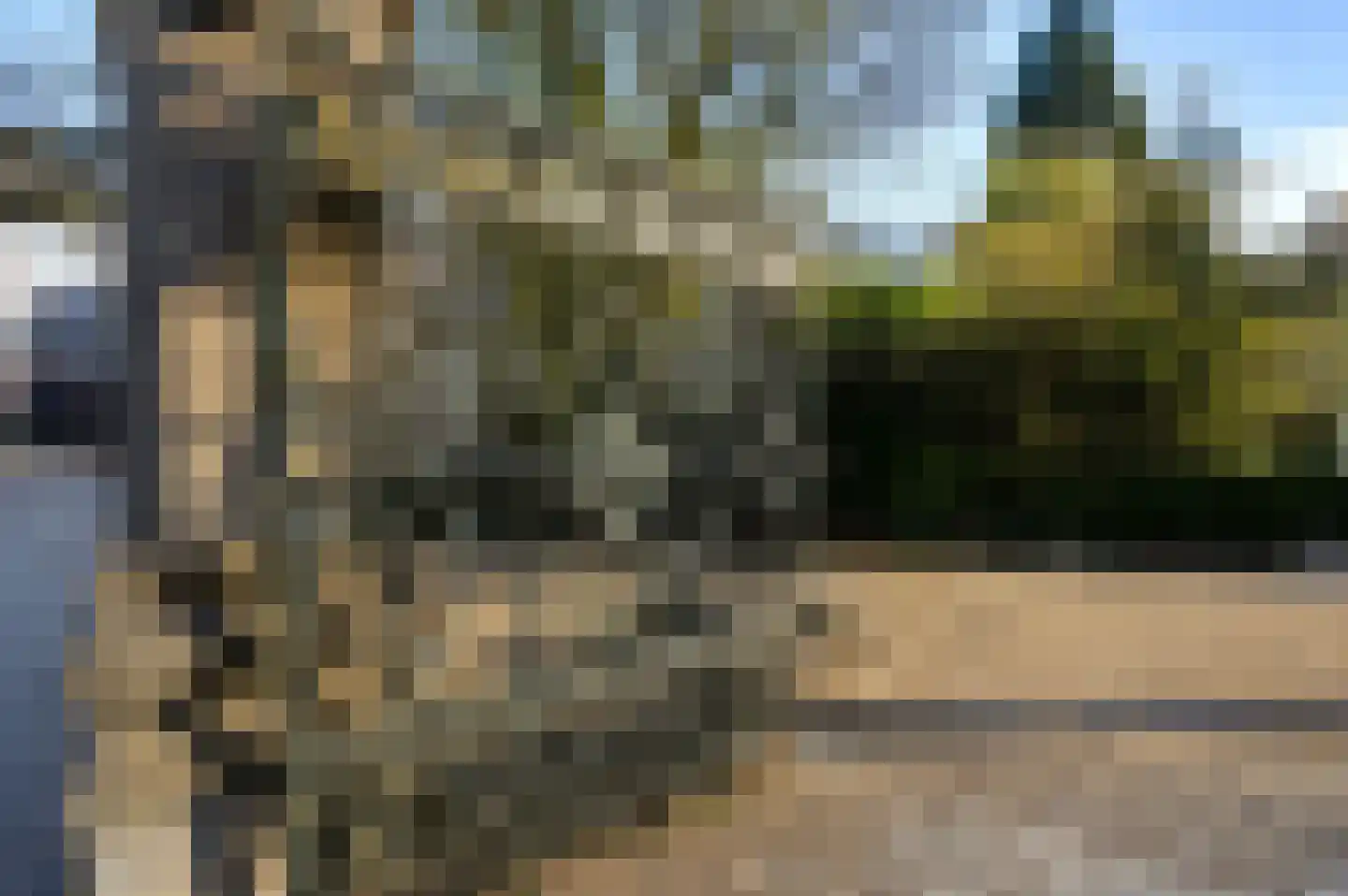 Minervalaan 89 3 Amsterdam thumbnail 46