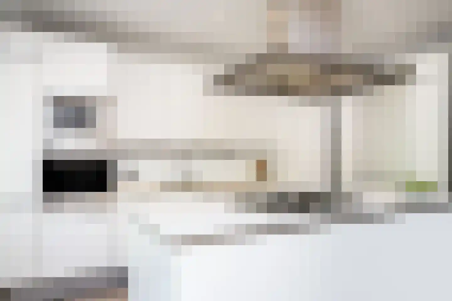 Minervalaan 89 3 Amsterdam thumbnail 5