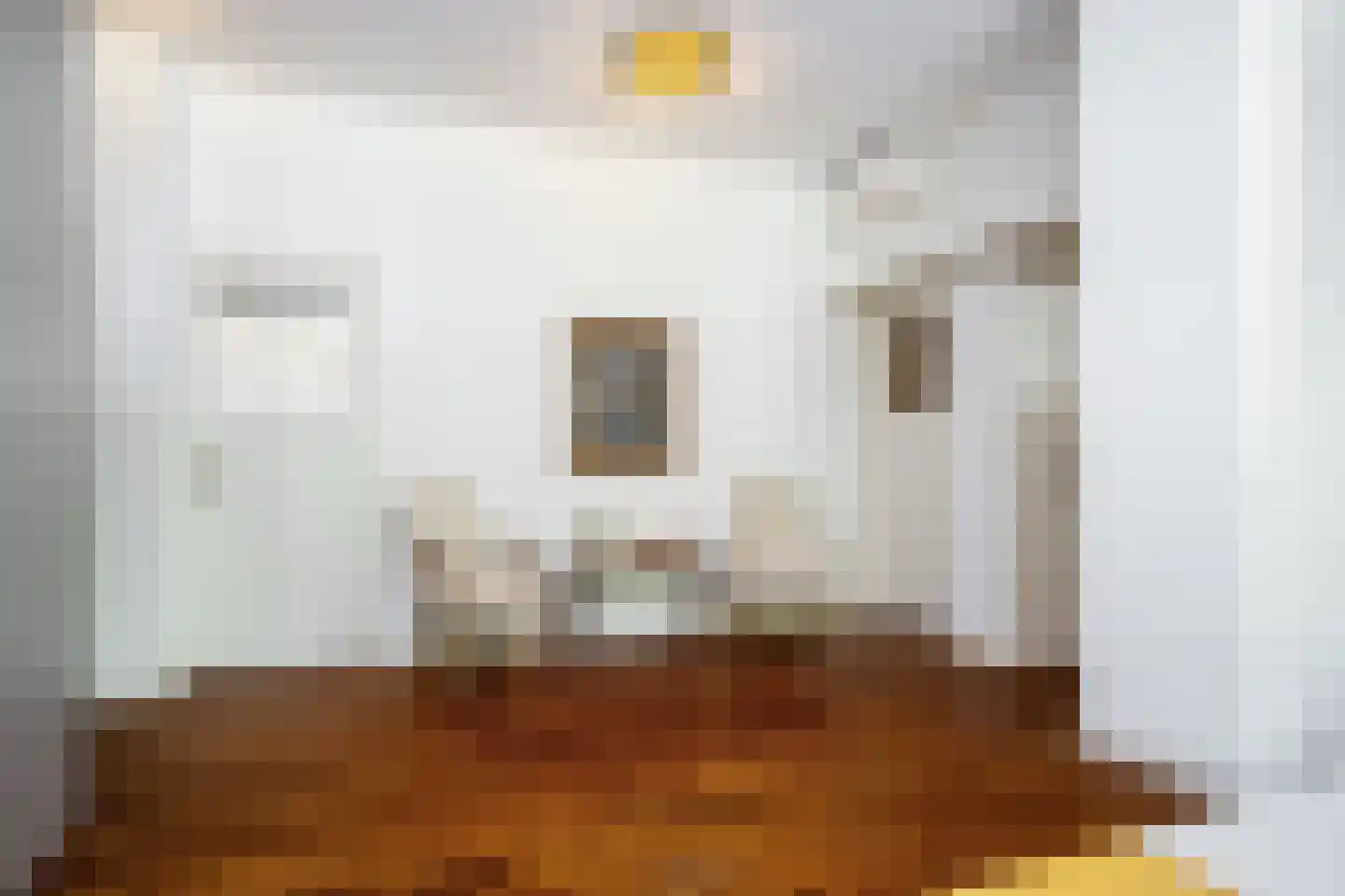 Minervalaan 89 3 Amsterdam thumbnail 8