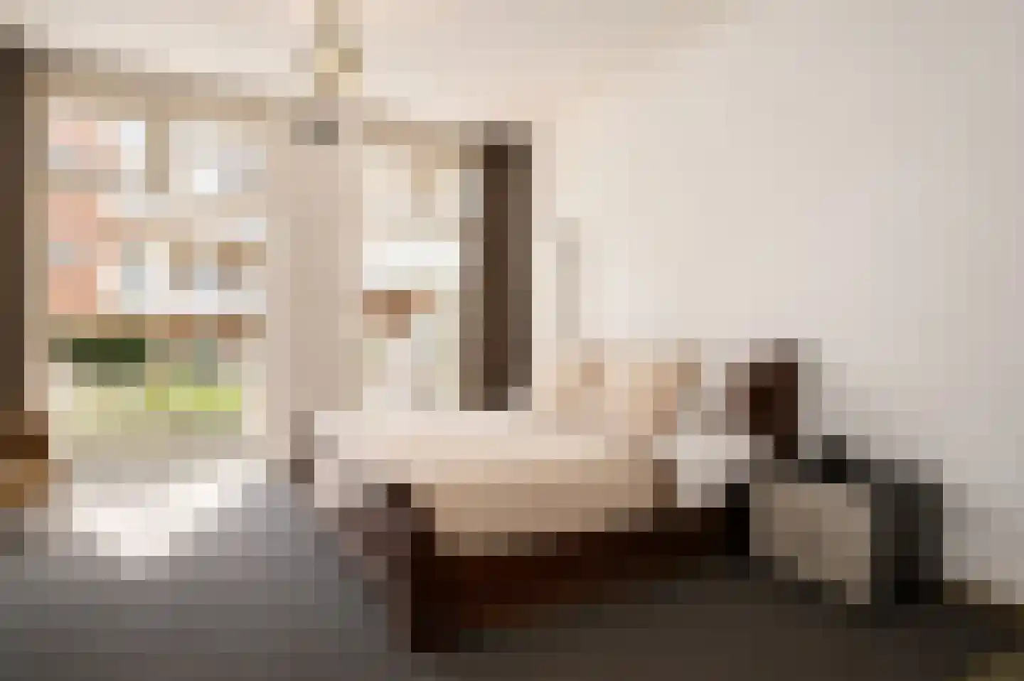 Minervalaan 89 3 Amsterdam thumbnail 9