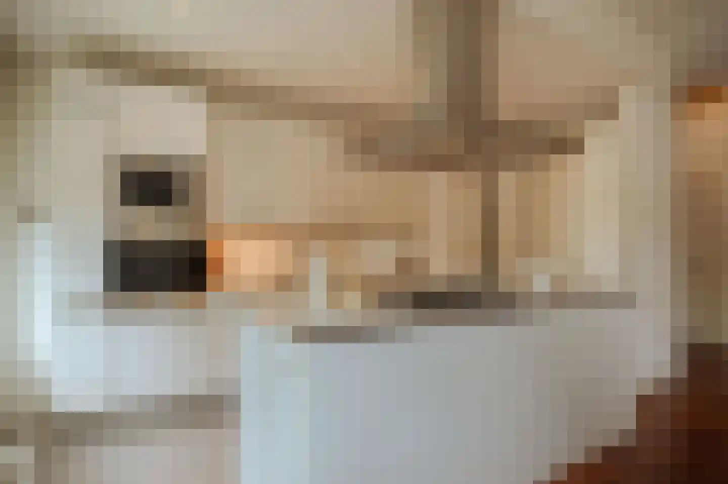 Minervalaan 89 H Amsterdam thumbnail 12