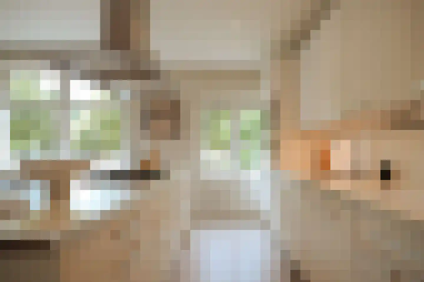 Minervalaan 89 H Amsterdam thumbnail 13