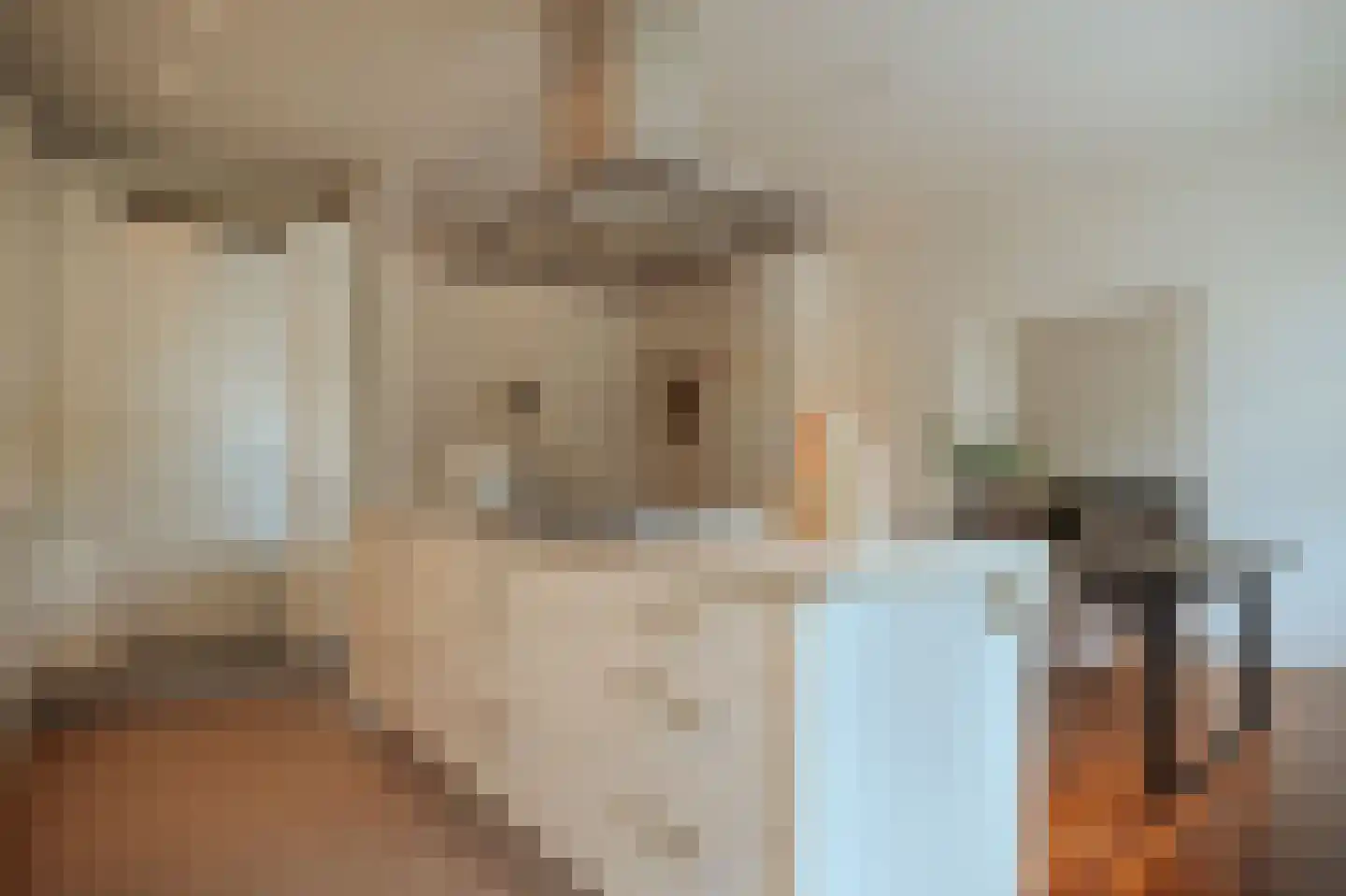 Minervalaan 89 H Amsterdam thumbnail 14