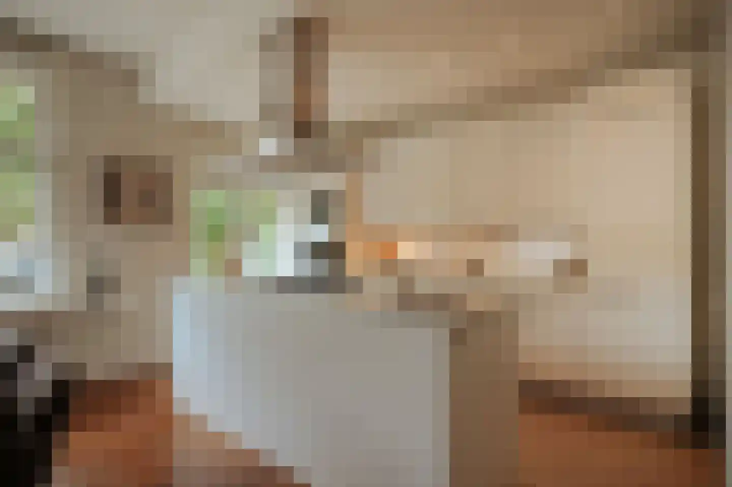 Minervalaan 89 H Amsterdam thumbnail 15