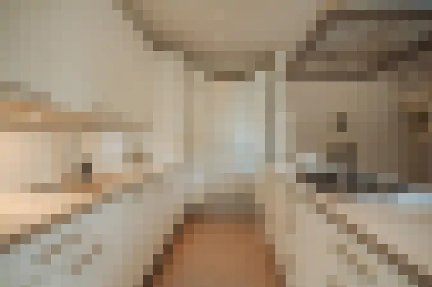 Minervalaan 89 H Amsterdam thumbnail 17