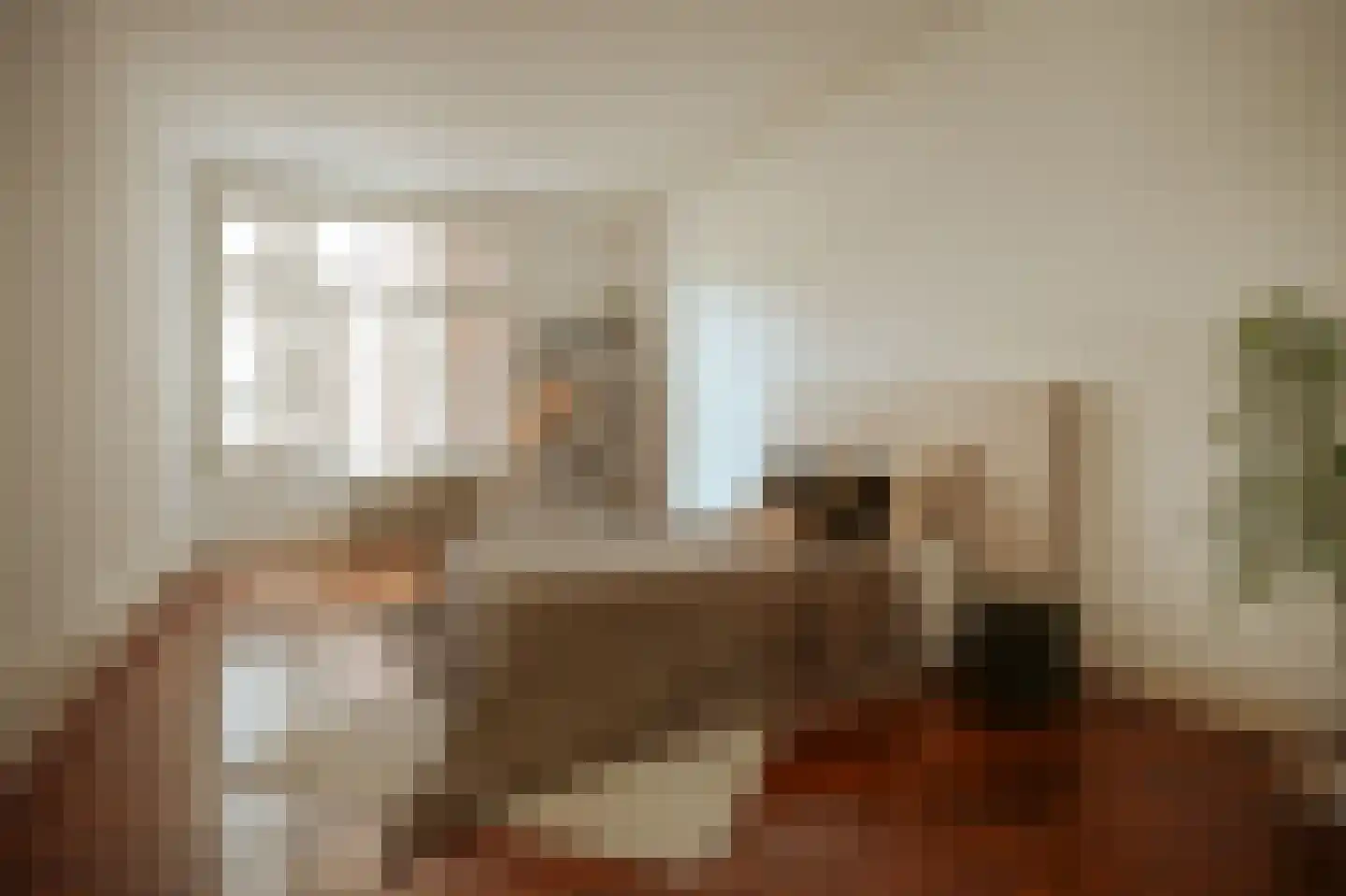 Minervalaan 89 H Amsterdam thumbnail 28