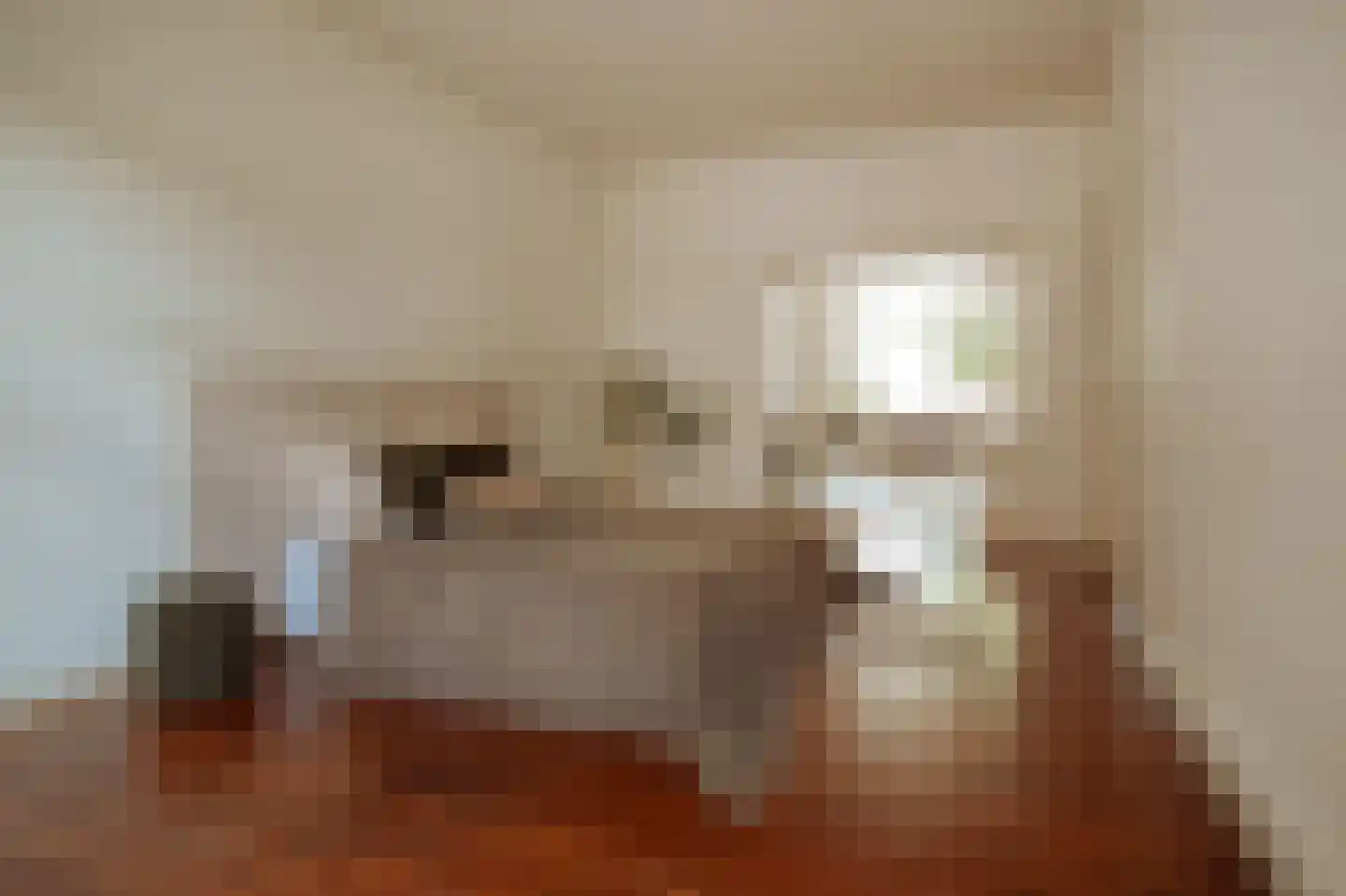 Minervalaan 89 H Amsterdam thumbnail 29