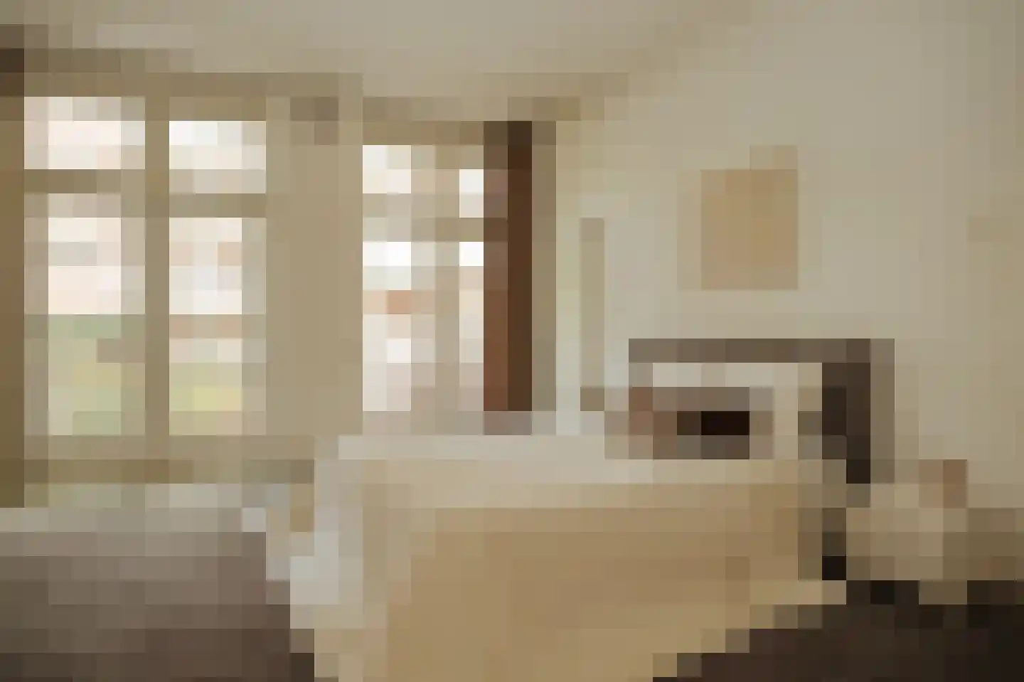 Minervalaan 89 H Amsterdam thumbnail 31