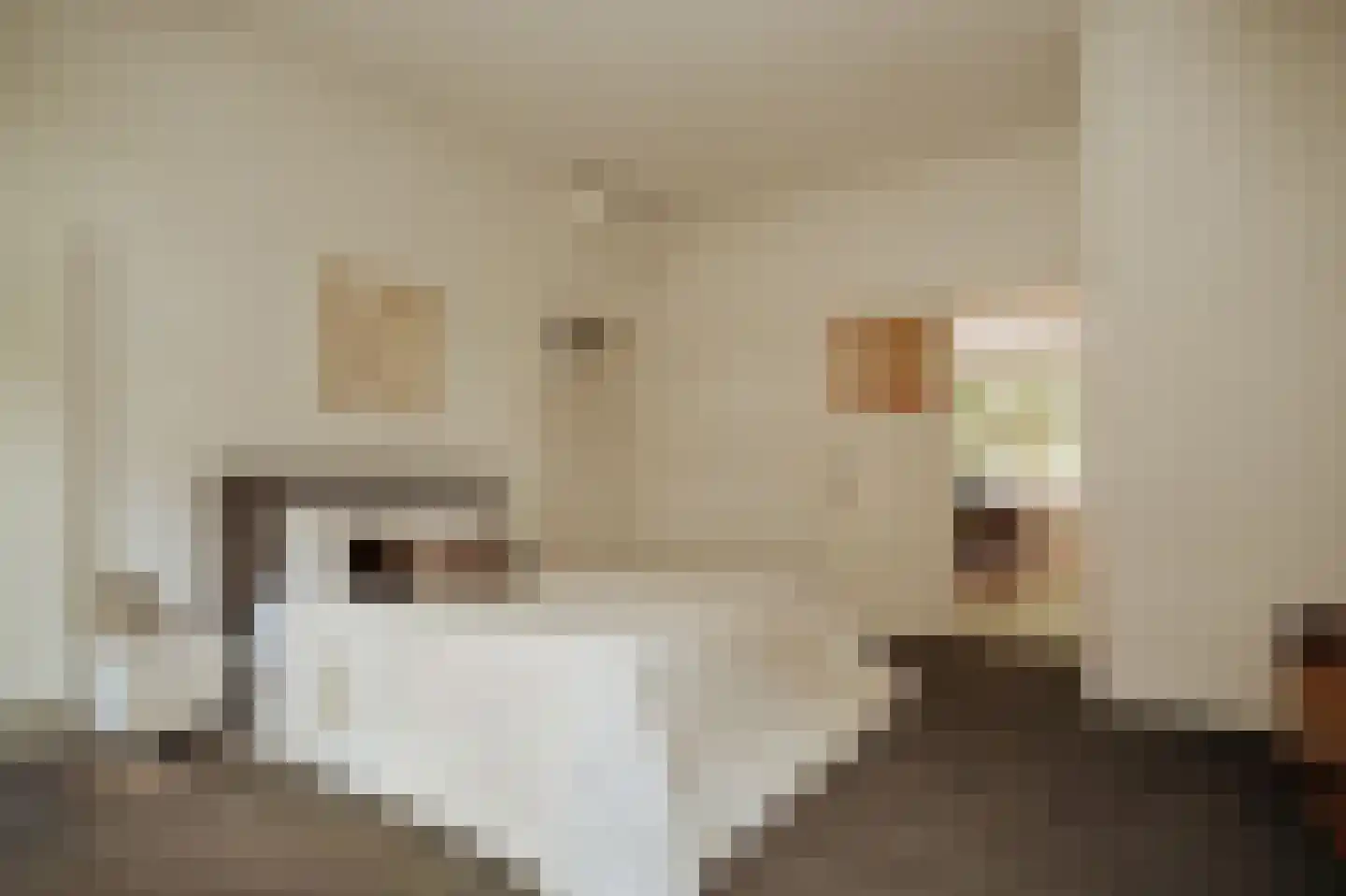 Minervalaan 89 H Amsterdam thumbnail 32