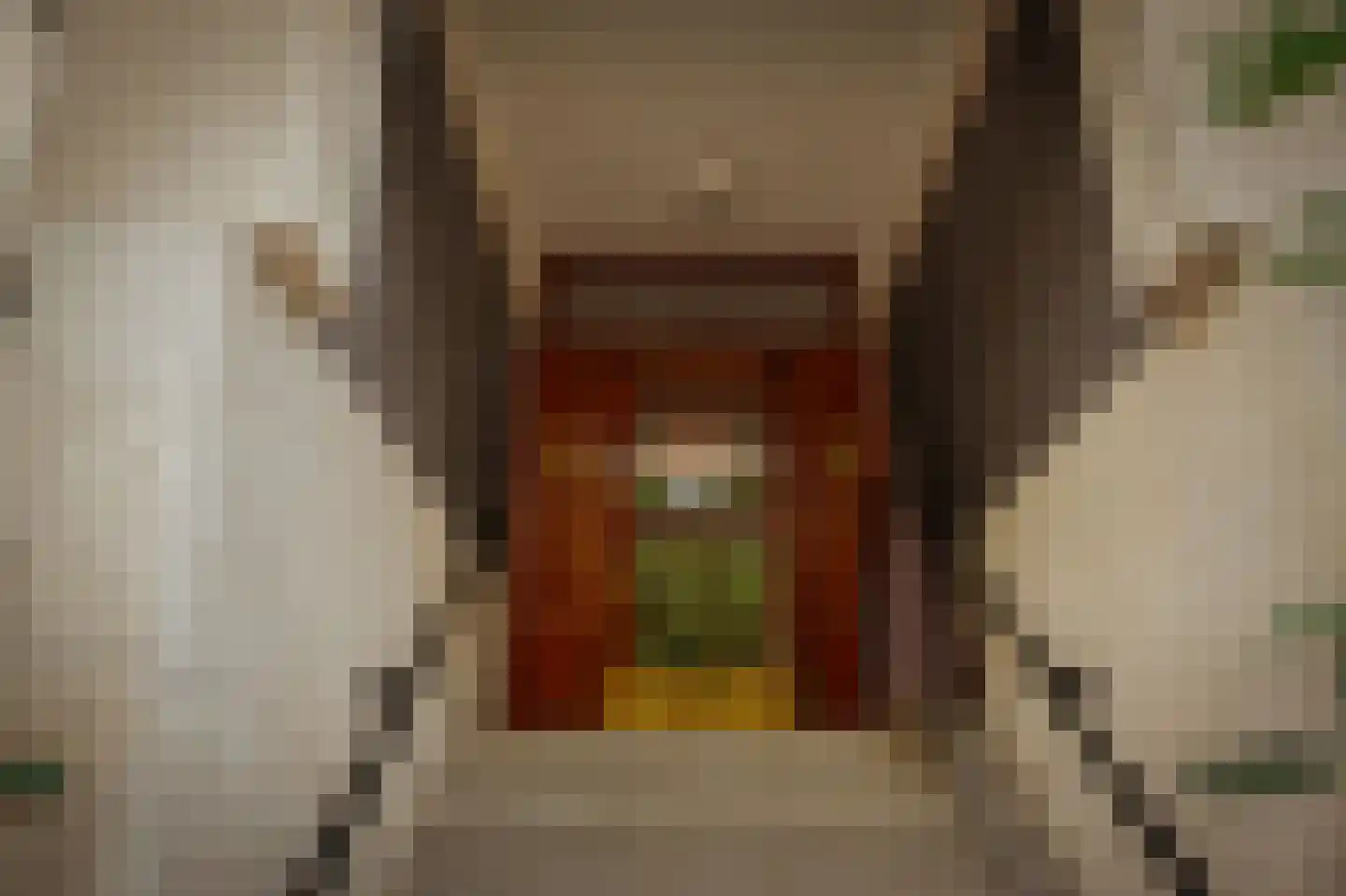 Minervalaan 89 H Amsterdam thumbnail 47