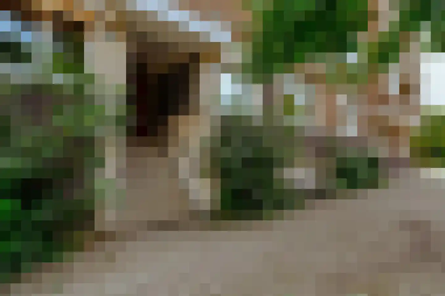 Minervalaan 89 H Amsterdam thumbnail 48