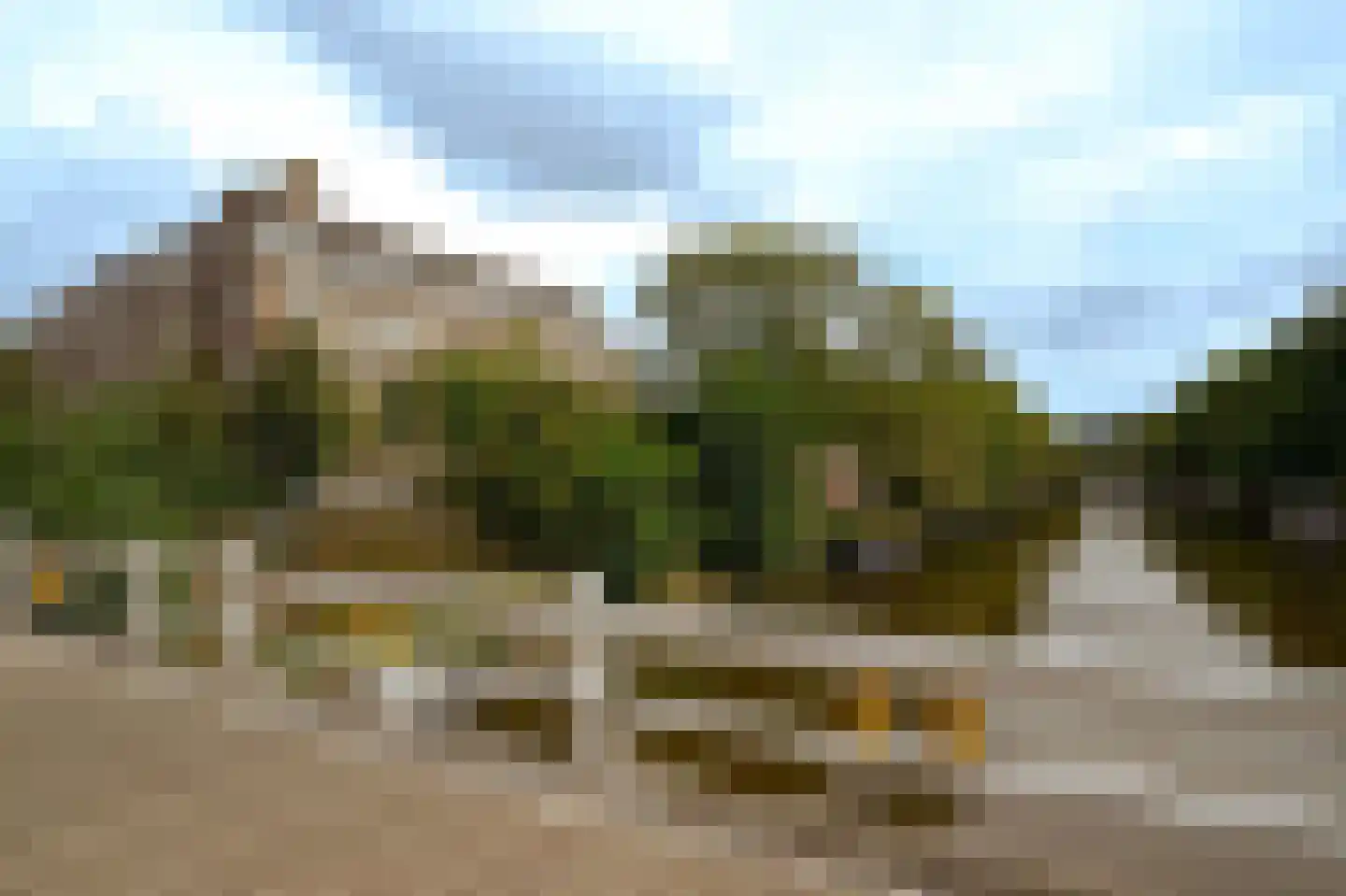 Minervalaan 89 H Amsterdam thumbnail 52