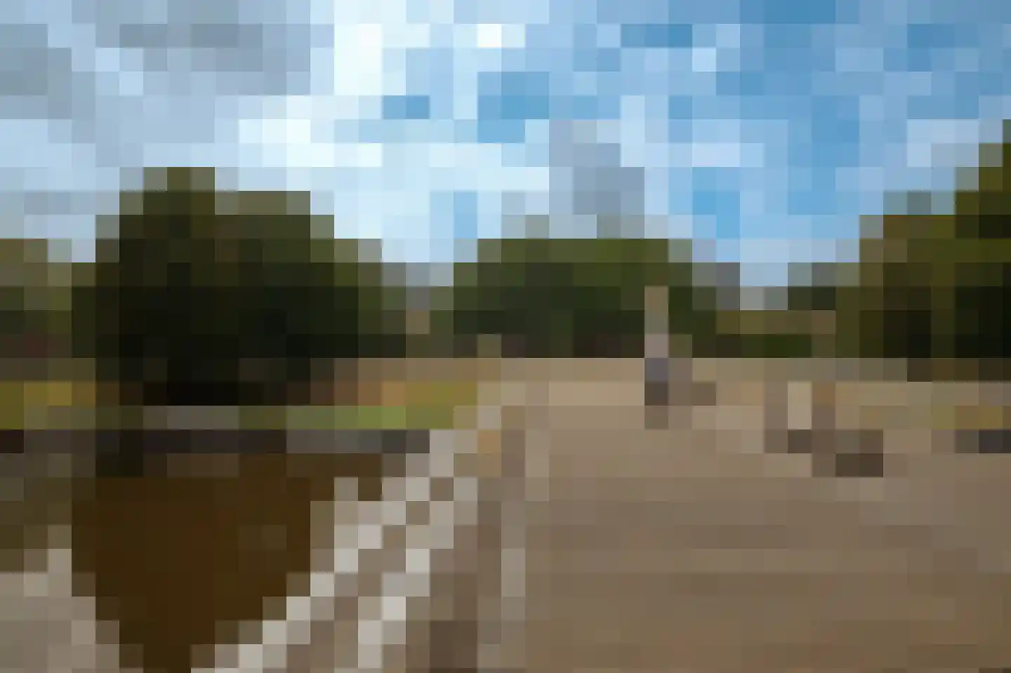 Minervalaan 89 H Amsterdam thumbnail 55
