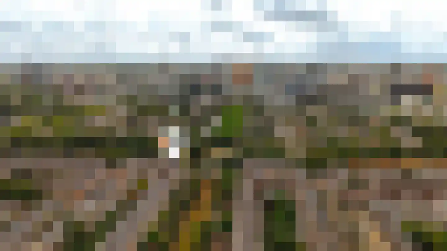 Minervalaan 89 H Amsterdam thumbnail 57