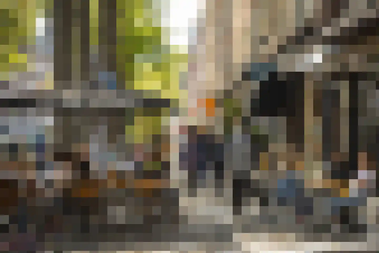 Minervalaan 89 H Amsterdam thumbnail 58