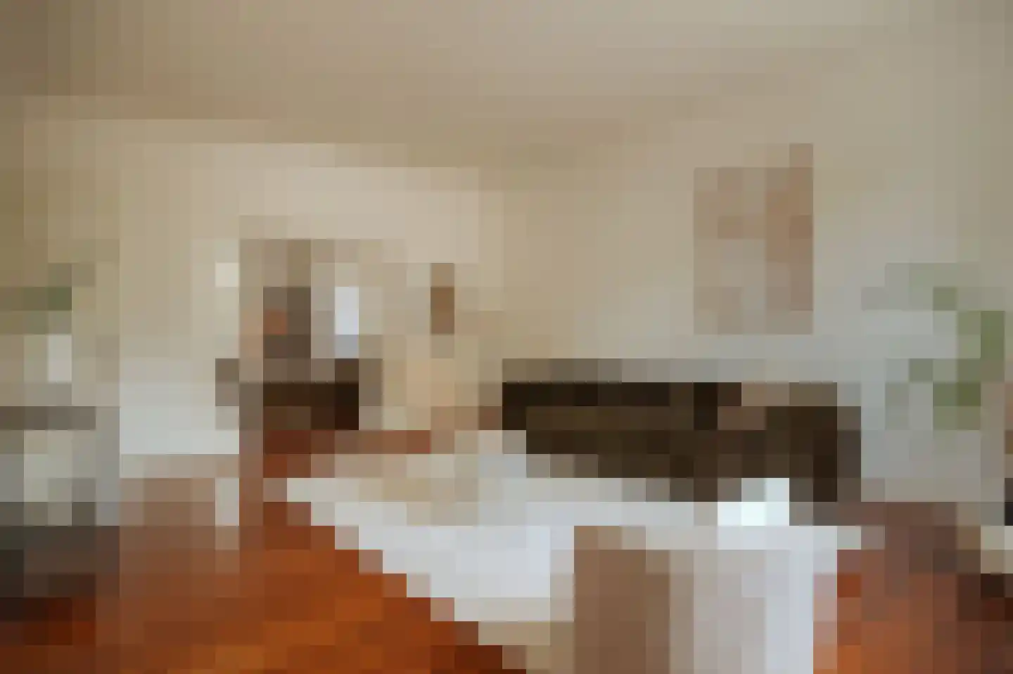 Minervalaan 89 H Amsterdam thumbnail 7