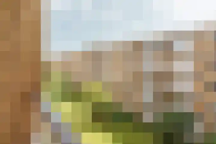 Minervaplein 11 3 Amsterdam thumbnail 12