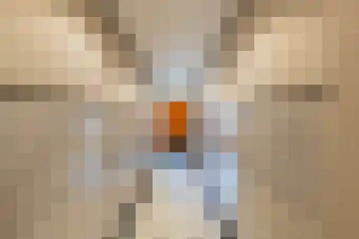 Minervaplein 11 3 Amsterdam thumbnail 12