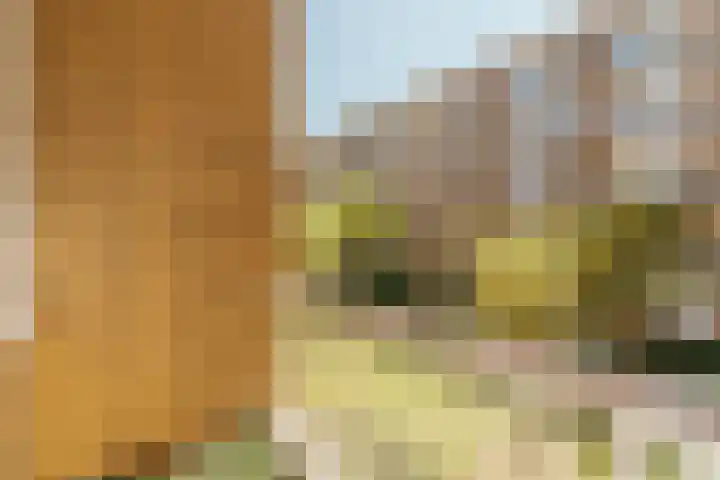 Minervaplein 11 3 Amsterdam thumbnail 16