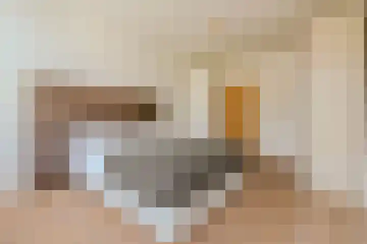 Minervaplein 11 3 Amsterdam thumbnail 16