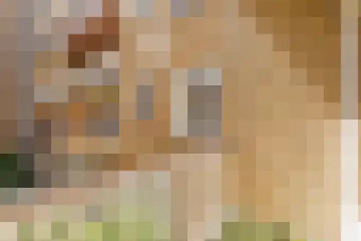 Minervaplein 11 3 Amsterdam thumbnail 17