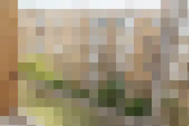 Minervaplein 11 3 Amsterdam thumbnail 22