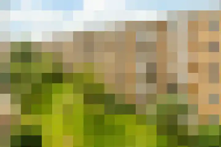 Minervaplein 11 3 Amsterdam thumbnail 23