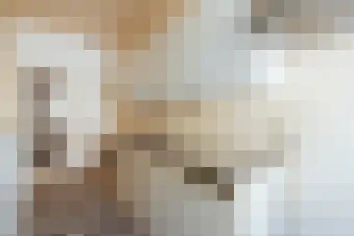 Minervaplein 11 3 Amsterdam thumbnail 24