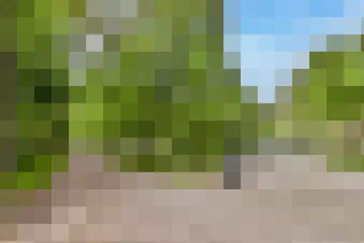 Minervaplein 11 3 Amsterdam thumbnail 34