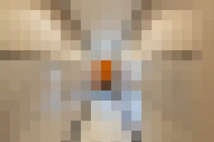 Minervaplein 11 3 Amsterdam thumbnail 5