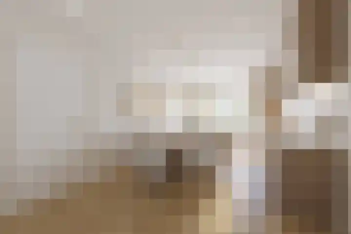 Minervaplein 11 3 Amsterdam thumbnail 6