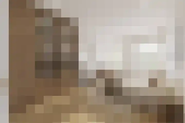 Minervaplein 11 3 Amsterdam thumbnail 7