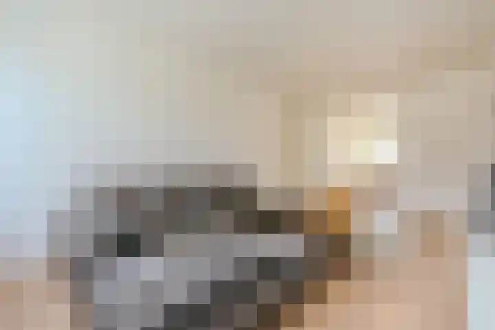 Minervaplein 11 3 Amsterdam thumbnail 7
